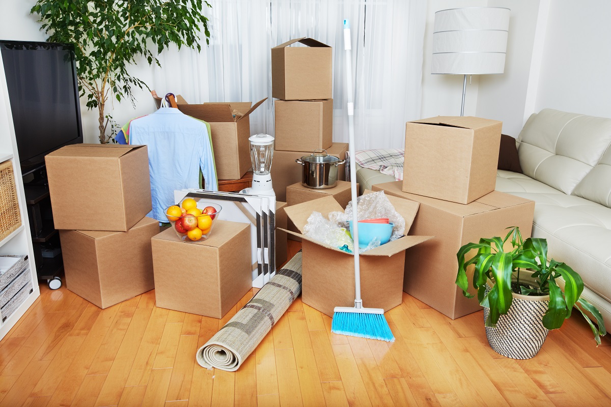 Professional Move-In/Out Cleaning Services in Wesley Chapel, New Tampa, and Tampa Bay
